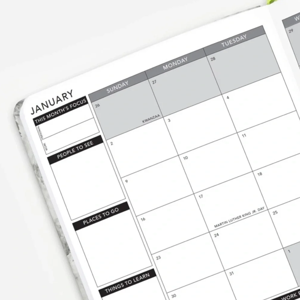 Passion Planner 2021 Weekly Annual Size Medium. Serpent Spring